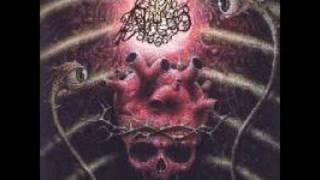 The Abyss - Blessed With the Wrath of Evil