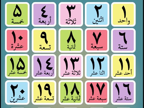 Arabic Numbers 0 -100 writing and reading