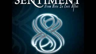 SENTIMENT - The Last Day