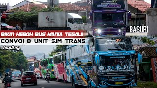 Download lagu [bikin heboh bus mania tegal ]!! convoi 8 unit sjm trans mp3
