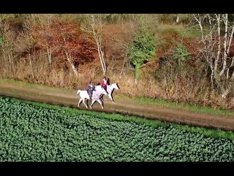 Reportage Endurance 13 dec 2015 La Baronnerie