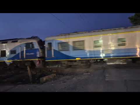 Viendo pasar el Tren a Junin por el Pueblo de Agote, Partido de Mercedes Buenos Aires 🇦🇷, 28nov25.