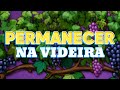 Permanecer Na Videira Ministério KidsTeens Clipe Oficial