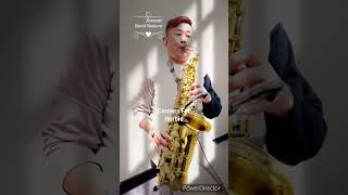 『Corners for Herbie』 forever David Sanborn