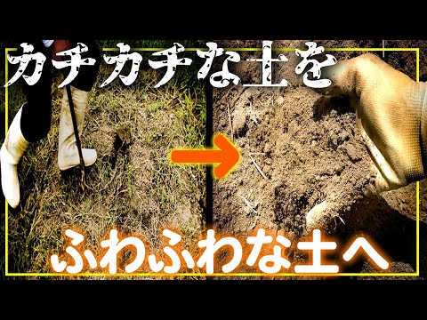 庭に腐植を作る: 最良のヒント