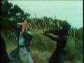 Ninja Death I 1987
