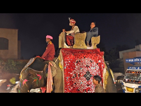 Hochzeitszug in Jaipur