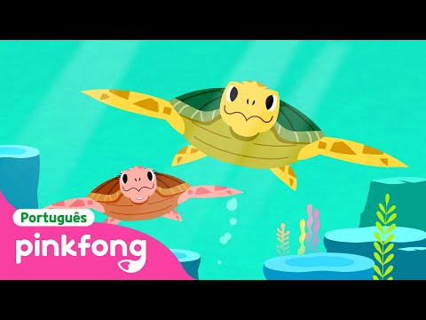 Tartaruga-Marinha | Animais do Mar | Pinkfong, Bebê Tubarão! Canções para Crianças