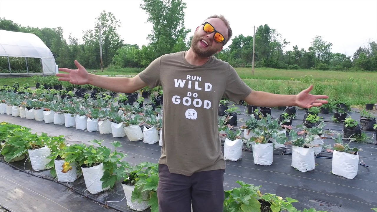 So Farm Fresh and Clean - A Market Farmer CSA Rap