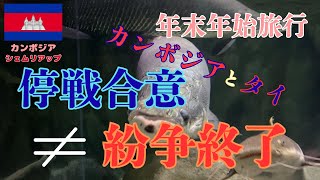 【年末年始旅行者 注意!】停戦は非常に喜ばしいことですが、紛争が終わったわけではありません!むしろこれからが重要です。危険区域には行かないようにしてください