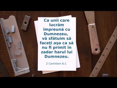 Teofil Babuția - Folosește, frate, darul