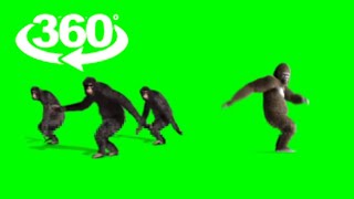 top 10 funny animals dance green screen 2021// 360