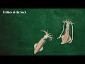 Hydrogen Sea Already Lyric Video