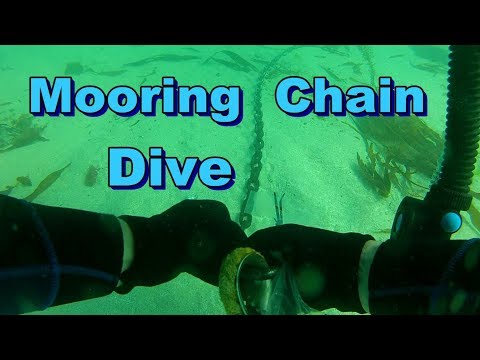 Mooring Chain Dive