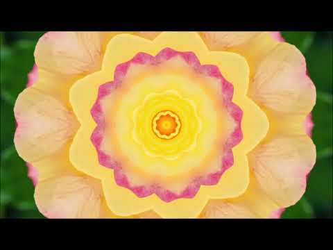 Grateful Dead - Kiel Auditorium, St. Louis, MO - October 30, 1973 - partial SET II