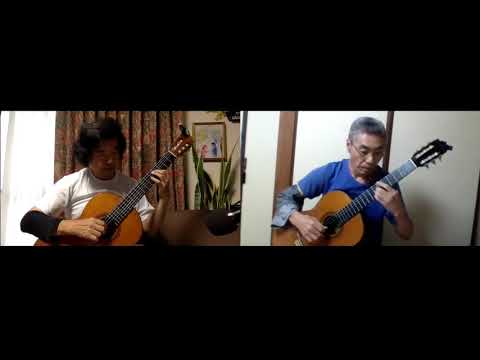 The Fool On The Hill Guitar Duo