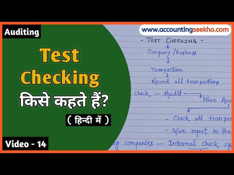 Test Checking क्या है || What Is Test Checking || Test Checking In Audit || हिन्दी में ||