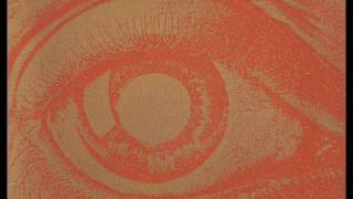 Brad Laner - N-Counter