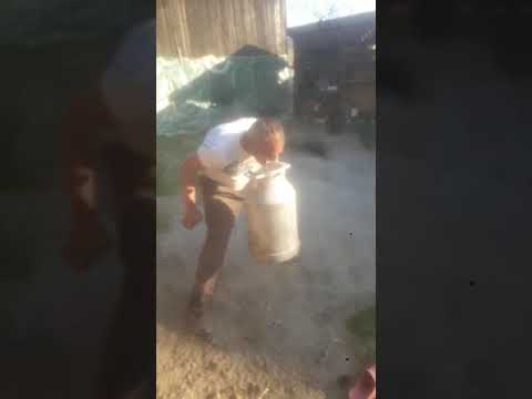 Bruzli de vurpar partea 4