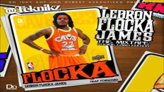 Waka Flocka Flame - Lebron Flocka James [FULL MIXTAPE + DOWNLOAD LINK] [2009]