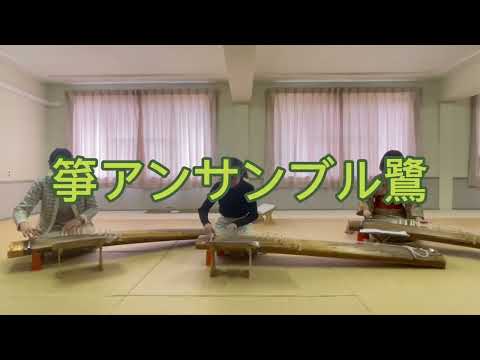 クラブ紹介動画「箏アンサンブル鷺」