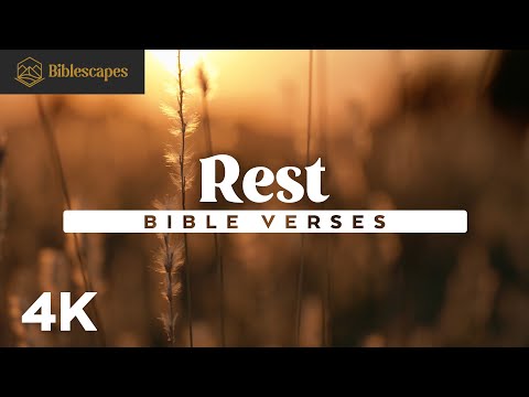 Bible Verses for Rest | 4K | 22 Minutes | 90+ Scriptures | Audio Bible + Music