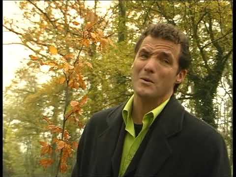 John de Bever - Blue Spanish Eyes