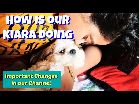 Exciting Changes in Channel and Important Update