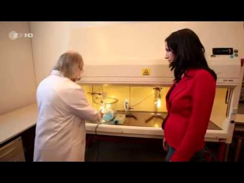 Intelligenz Schädigung durch Eneriesparlampe Test giftiges Quecksilber