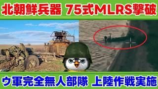 【ペンギン閣下】露「北からはまだまだ絞れる！」【国際情勢】