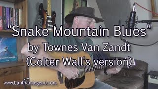 Snake Mountain Blues - Townes Van Zandt (Colter Wall cover)
