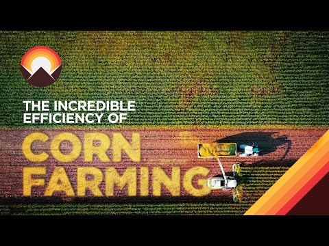 The Incredible Logistics Behind Corn Farming