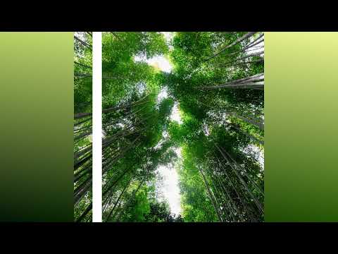 The Other Side | (Melodic, Trance and Progressive House Mix)