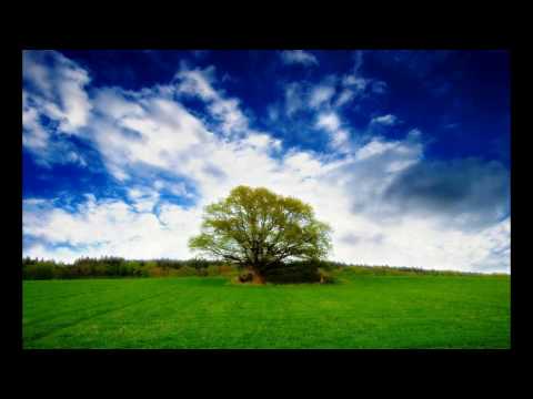 Daniel Kandi & Neumann - Lovin' Feeling