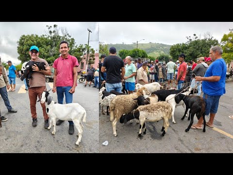 Feira de Animais, Umbuzeiro-PB