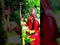 Achyutam Keshavam Krishna Damodaram Status New Krishna Whatsapp Status Krishna 4k Status