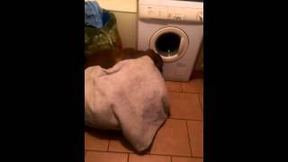 He's not playing Hide and Seek