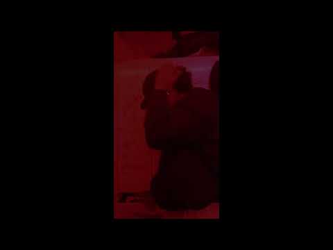 09 - Kata Drian - Interlúdio (Prod. Moyz)(Cover) [Visualizer Gif]