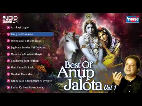 Top 10 Anup Jalota Bhajans | Hindi Non Stop Bhajan Sandhya | Anup Jalota Songs