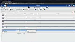 DayForce - Submitting your Time card