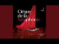 Dance of The Furies from Orphée et Euridice (Live)