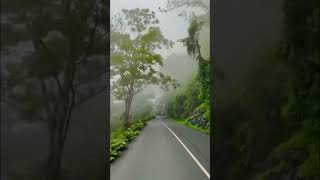 Download lagu Thaalattum katre vaa…WhatsApp status song mp3