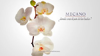 Mecano - Barco a Venus (Premezcla &#39;83)