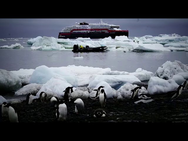Mit dem Hybrid-Kreuzfahrtschiff von Hurtigruten in die Antarktis
