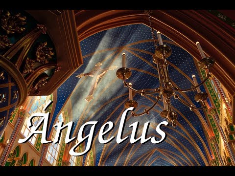 Knights of the Virgin. Pray the Angelus