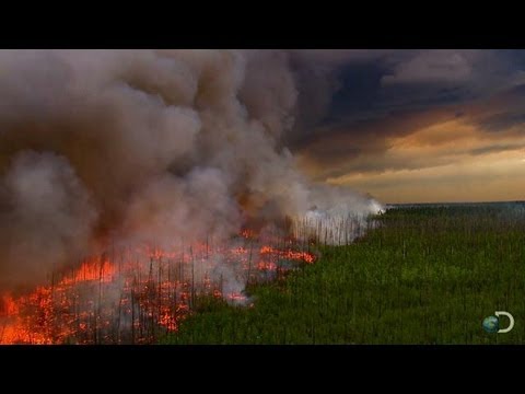 Filming a Raging Forest Fire | North America