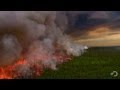 Filming A Raging Forest Fire North America