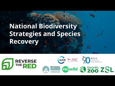 National Biodiversity Strategies: A Global Effort to Preserve Life on