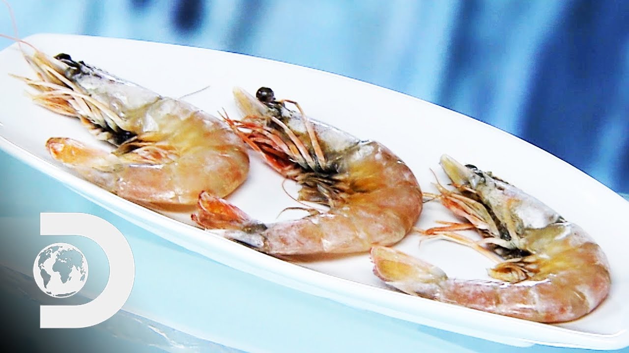 FARMED SHRIMP | How It's Made - YouTube