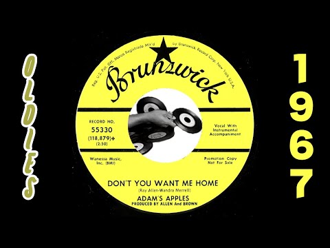 Adams Apples - Don't You Want Me Home [Brunswick] 1967 Group Soul Ballad Oldies 45